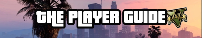 --- The Player Guide for FiveM --- 