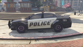 Policajt F1