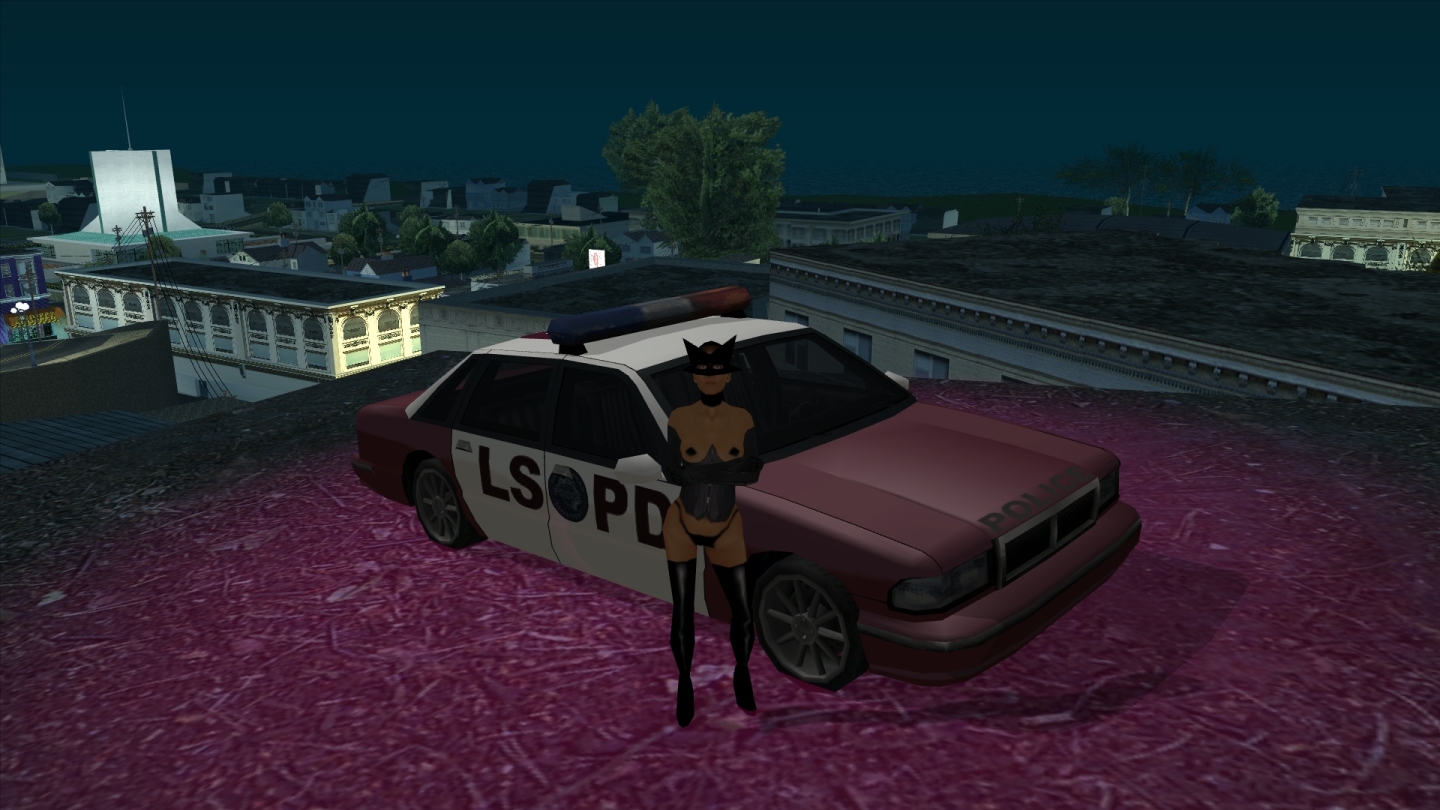 my new lspd 248/1