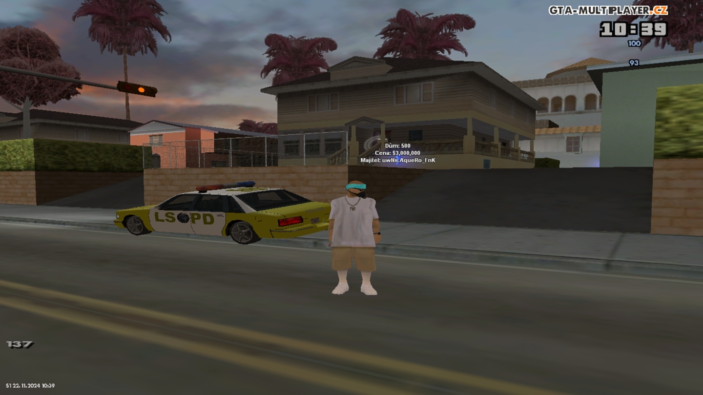 IDLEWOOD + LSPD 194