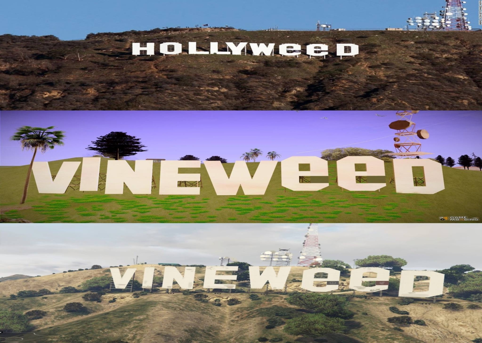 Vineweed vs Hollyweed