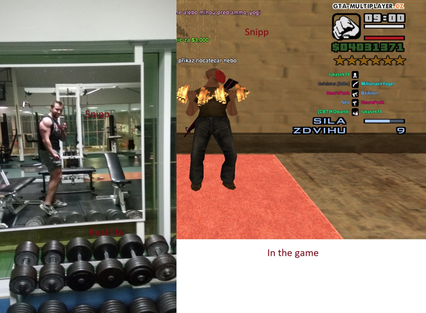 Real life vs Game (Snipp)