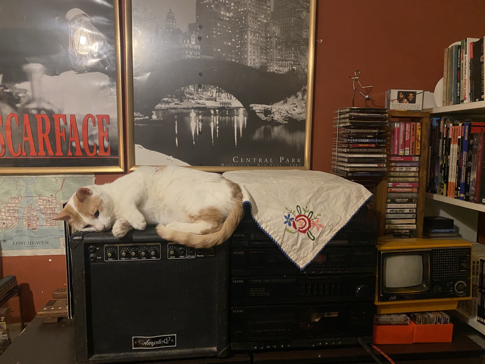 My Cat Sleep Above Of My Hi Fi