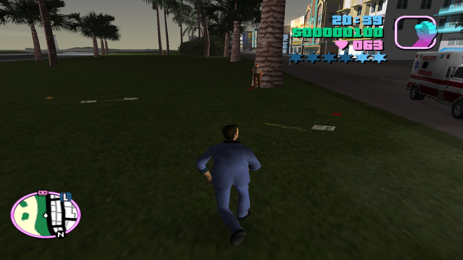 Vice city mayhem