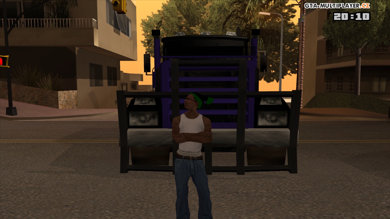 Me and my Roadtrain 