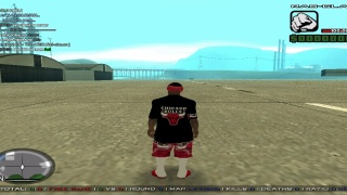 Chicago-Bulls skin ballas1