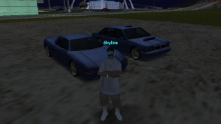 Skyline Car's