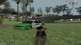 229-1 Colored LSPD