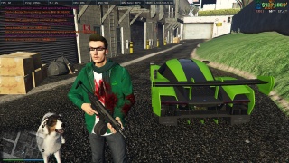 GTA_IMG294923642098