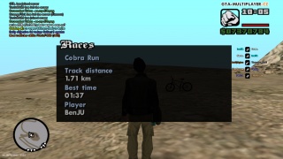 Cobra Run WR