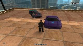 New car Added to collection! ''cat''