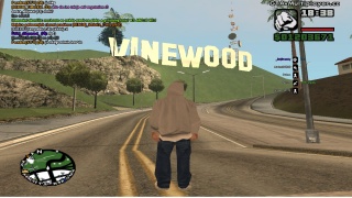 VineWood ( Los Santos )