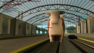 Cow Head Train !