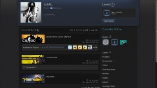 Add Me On #Steam 