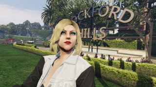 Rockford Hills VinewooD 