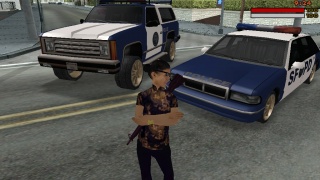 My Cop cars :D