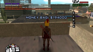 Moneybag in Market