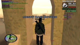 Verdant Bluffs Moneybag