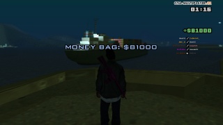 Battery Point Moneybag