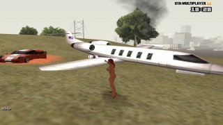 Random event crashed plane in Tierra Robada #2